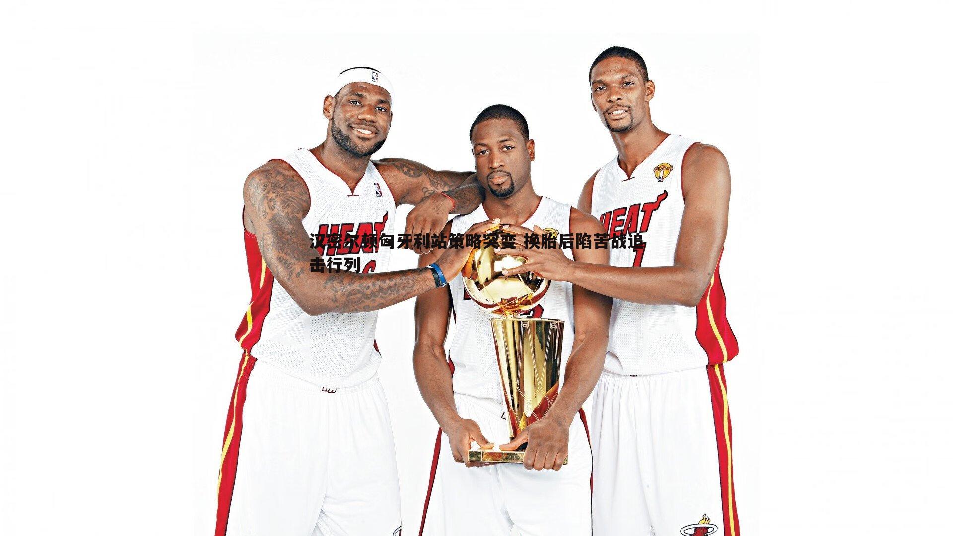 a8体育直播-汉密尔顿匈牙利站策略突变 换胎后陷苦战追击行列