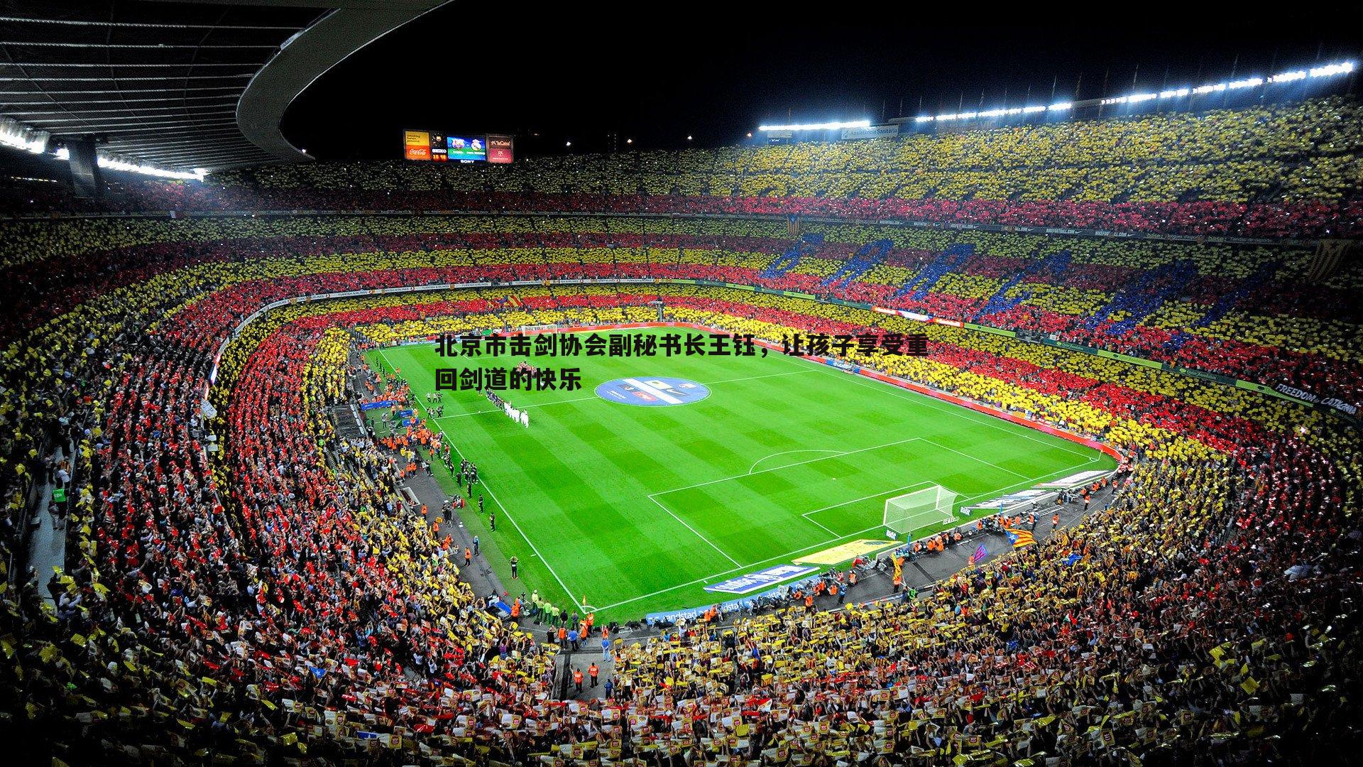 北京市击剑协会副秘书长王钰，让孩子享受重回剑道的快乐